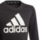 2. Sweatshirt adidas Essentials Big Logo Jr GP0040