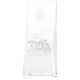 2. 3D engraved glass trophy in a case