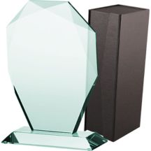 Glass trophy with case