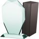 Glass trophy with case