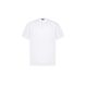 7. Paul&Shark Men's Cotton T-shirt White and Gold 99311008-10E - Classic Cut, Logo