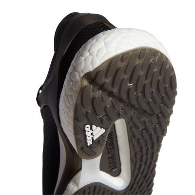 2. Adidas Alphatorsion Boost M FV6167 running shoes