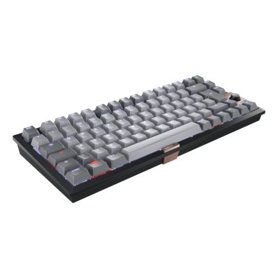 2. Cherry TAS Wireless Keyboard MX 2A Brown