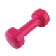 19. Vinyl-coated cast iron weight 1.5kg 17023 17-47-003