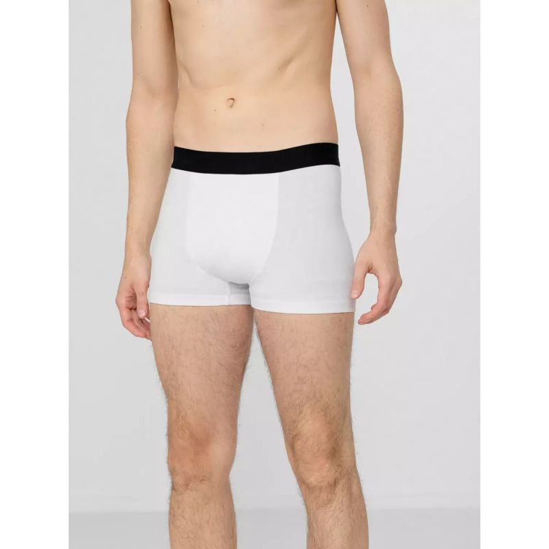 10. Boxer shorts 4F M H4Z22-BIM350-92S