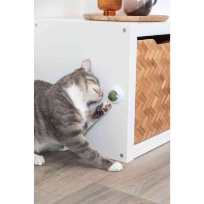 3. Catnip ball with handle, for cats, 5 cm, for sticking
