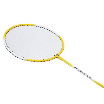 6. SMJ Teloon TL100 Badminton Racket 