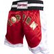 5. TOP TEN kick light shorts (WAKO APPROVED)