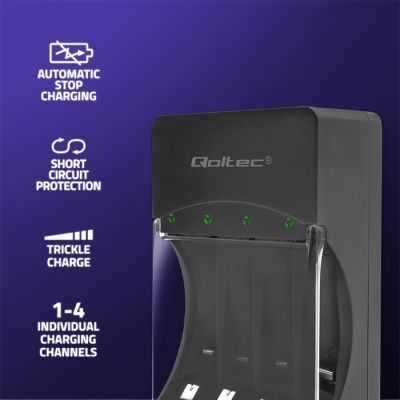 2. QOLTEC CHARGER FOR NI-MH BATTERIES TYPE R03/AAA R06/AA | 300MA