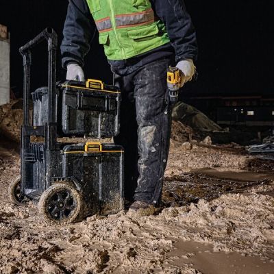 2. Dewalt ToughSystem 2.0 DS450 Case