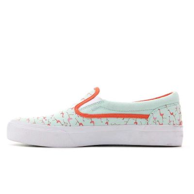 15. DC Trase W ADBS300135 MIB Shoes