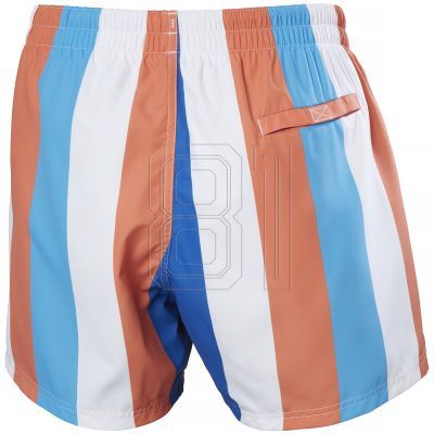 11. Helly Hansen Newport Trunk M 34296 304 Swim Shorts