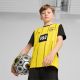3. Puma Junior Borussia Dortmund Home Replica Jersey 774951 01