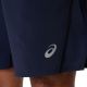 11. Asics Icon 7IN Short M 2011D238400 shorts