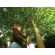 16. 800W PS7525 BLACK DECKER Chainsaw