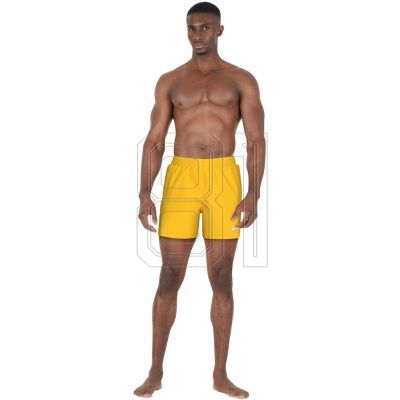 4. Nike Essential 5 M NESSF560 704 Swim Shorts