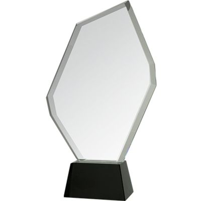 3. Glass Trophy with Case