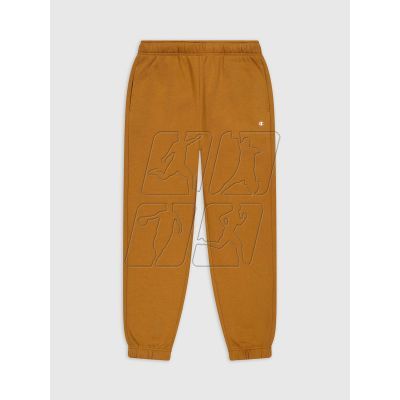 Champion M 219424 MS531 pants