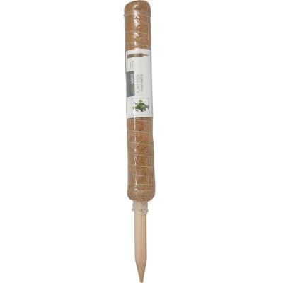 9. COCONUT PLANT SUPPORT 50CM PROGARDEN