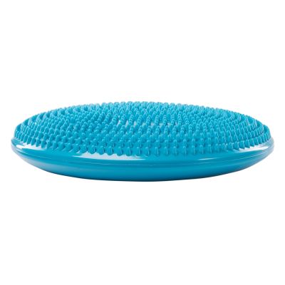 2. SENSORI Massage Cushion