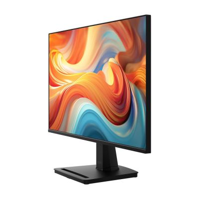 4. MSI Pro MP251 E14L Computer Monitor 62.2 cm (24.5") 1920 x 1080 px Full HD Black
