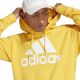 5. Sweatshirt adidas Big Logo Hoody FT HD M IC9834