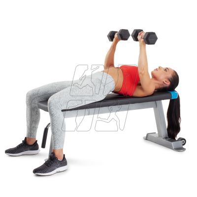 13. Proform Carbon Strength PFBE09620 horizontal bench