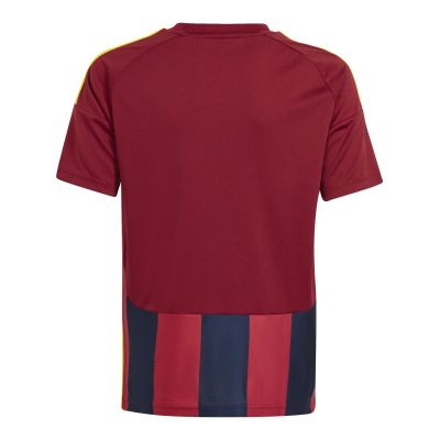 2. adidas Striped 24 Jr T-shirt IW2139