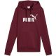 3. Puma ESS No.1 Logo Hoodie FL W 682389 96