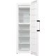 2. GORENJE FN619EAW6 freezer
