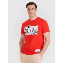 Men's regular t-shirt with volleyball print 4F 4FRAW25TTSHM3319-62S