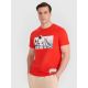 Men's regular t-shirt with volleyball print 4F 4FRAW25TTSHM3319-62S