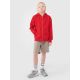 5. Boys' sweatshirt with a hood, zip-up, 4F 4FJWSS25TSWSM1851-62S