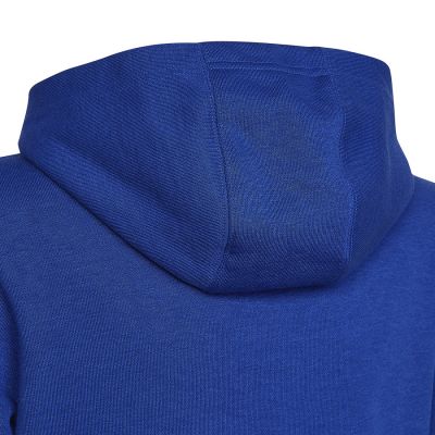 3. Adidas Big Logo Essentials Hoody Jr HN1912 sweatshirt