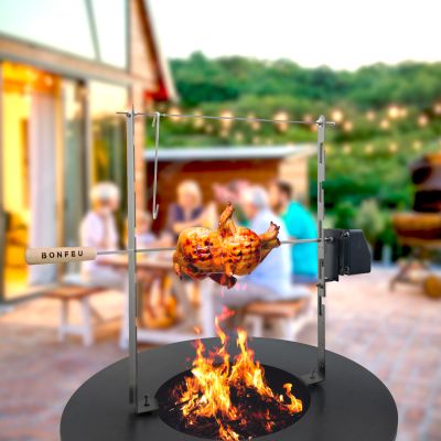 12. BF Rotary motor for the rotisserie set