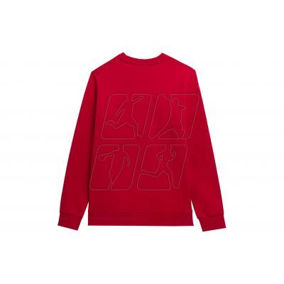 3. Sweatshirt 4F M 4FSS23TSWSM349 red