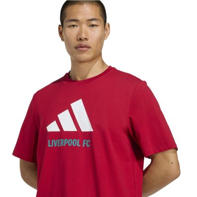 4. adidas Liverpool FC Seasonal DNA Graphic Tee 2 JY3466