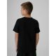 2. Boys’ Printed T-Shirt 4F 4FJRAW26TTSHM4347-20S