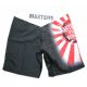 2. MMA MASTERS Shorts - SMMA-6
