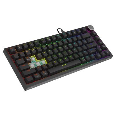 2. SAVIO MAGNETIC KEYBOARD ASTRAL BLACK OUTEMU WHITE JADE RGB