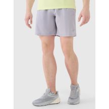 Men's quick-drying training shorts 4F 4FWSS25TFSHM0912-25S