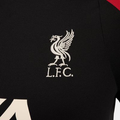 10. Nike Liverpool FC Strike Drill Top M FN9819-013 sweatshirt