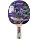 2. Donic Schildkröt Legends 800 Table Tennis Paddle, Pink, Wood