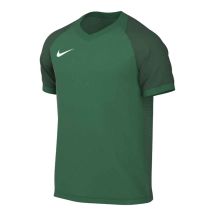 Nike Dri-FIT Trophy VI HV8151-302 T-Shirt