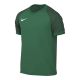 Nike Dri-FIT Trophy VI HV8151-302 T-Shirt