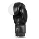 6. 10oz Boxing Gloves - Harmony - Valor Series