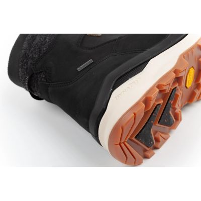 6. Lowa Renegade Evo Ice 2 GORE-TEX Men's High-Cut Trekking Boots