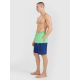 4. Men's boardshorts 4F 4FWSS25UBDSM135-42S