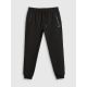 7. Men's jogger sweatpants 4F 4FRSS26TTROM2110-20S
