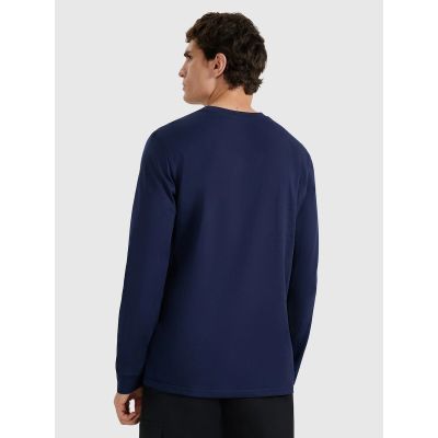 2. Men's longsleeve regular with print 4F 4FRAW25TLONM606-31S